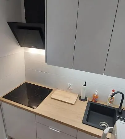 Appartamento Koszutka - 100m Od Spodka Katowice