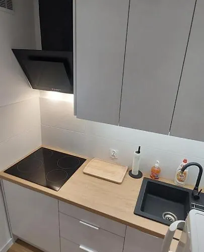 Apartamento Koszutka - 100m Od Spodka Katowice